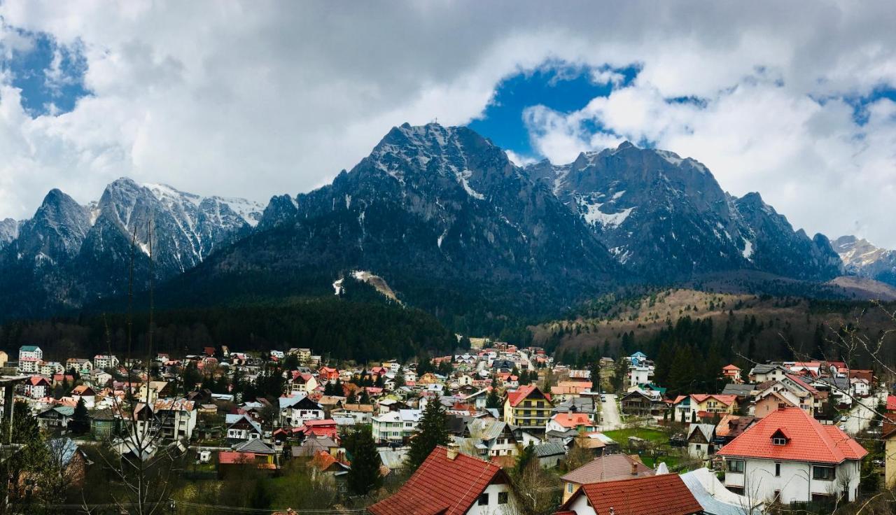 Alsama Zurqa Lägenhet Buşteni Exteriör bild